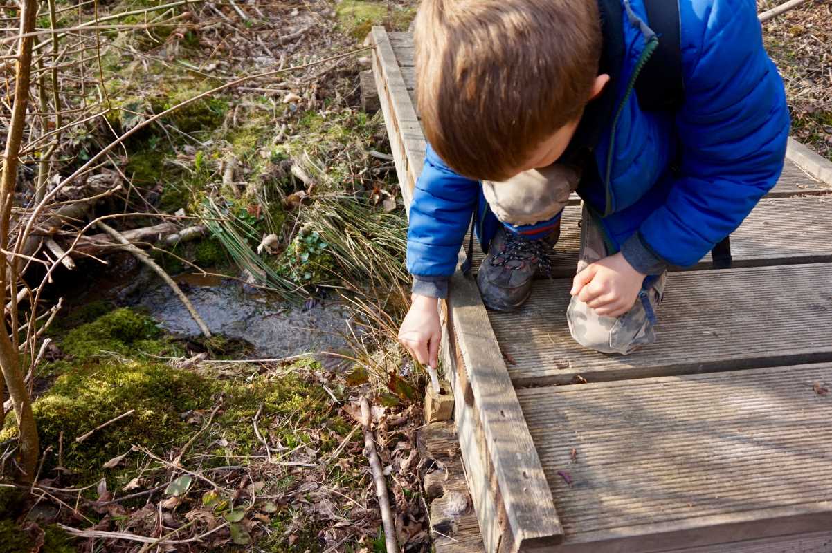 Uncover Hidden Treasures at These Must-Visit Geocaching Locations